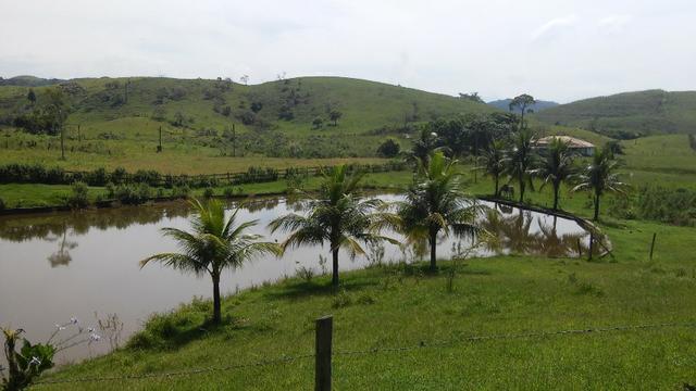 Jordão Corretores - Fazendinha 21 Hectares Papucaia - Foto 4