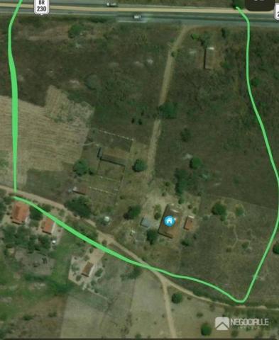 Excelente granja em são josé da mata (10 hectares) - Foto 11