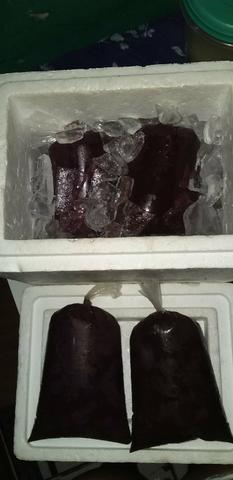 Vende-se açaí e polpa