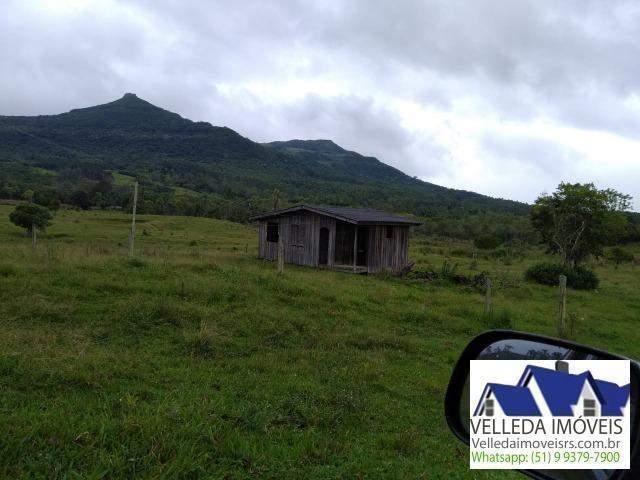 Velleda of. Fazenda 189 hectare, especial p/ gado, açudes, casa , maquiné - Foto 3