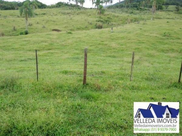 Velleda of. Fazenda 189 hectare, especial p/ gado, açudes, casa , maquiné - Foto 12