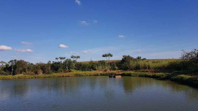 35 Alqueires na Região de São Miguel do Iguaçu - Foto 3