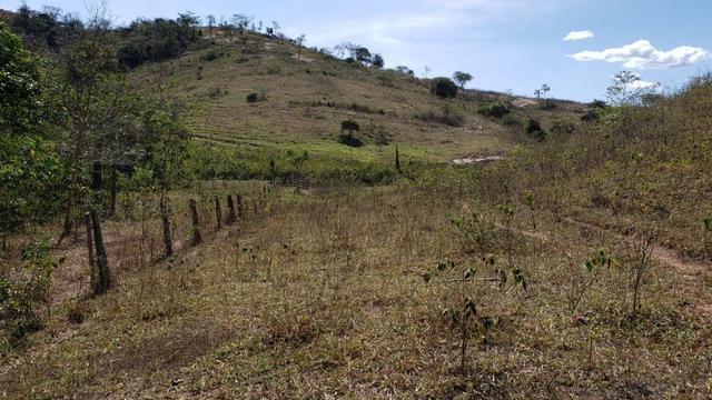 Fazenda 42 Alqueires em Campanário/MG, região de Governador Valadares/MG - Foto 5