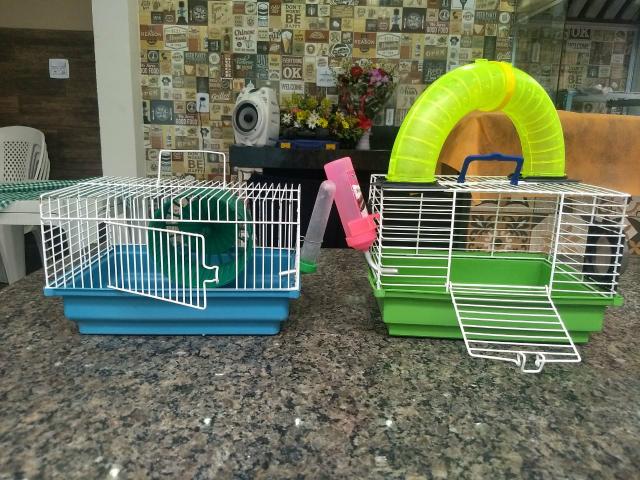 Gaiola para Hamster