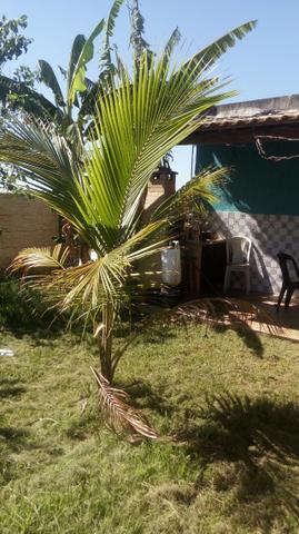 Casa itaguai 3qts vendo ou alugo - Foto 12