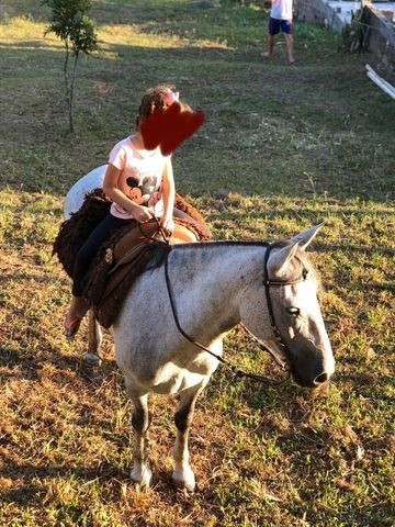 Égua crioula top no laço - Foto 6