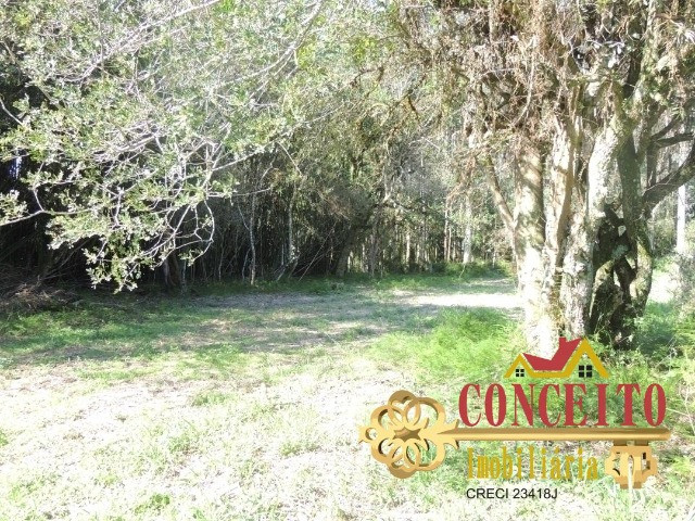Excelente propriedade com 38.000m² de frente para rua pavimentada - confira - Foto 9