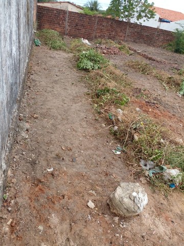 Loteamento Caiaré, Maiobão  - Foto 2