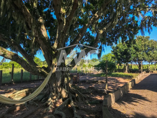 Casa de campo em Jaguaruna!  - Foto 5