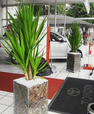 Vaso de vidro com planta - Foto 3
