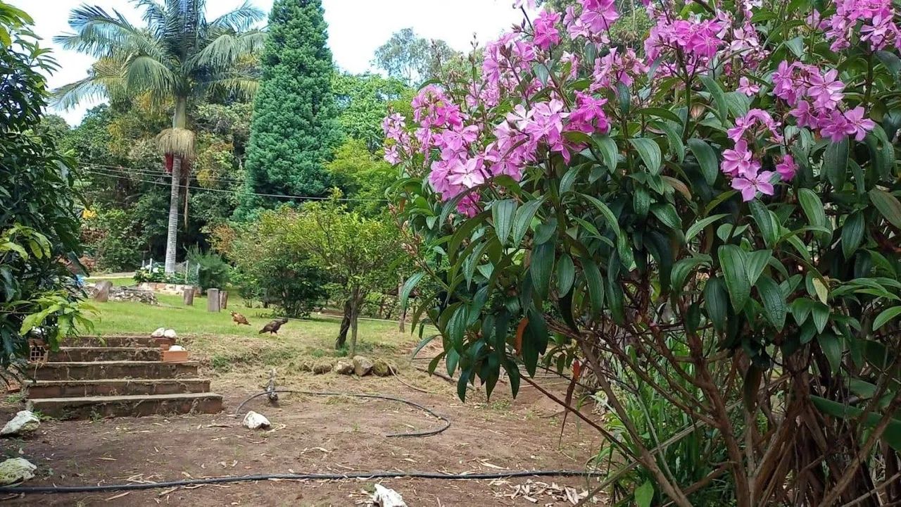 Chácara corrente ...9600m² - Foto 3