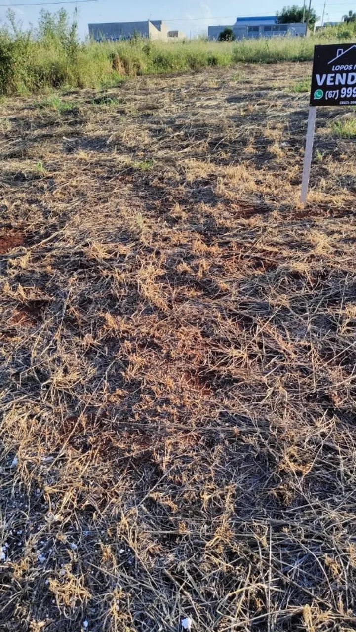 Oportunidade - terreno no alto das palmeiras  - Foto 3