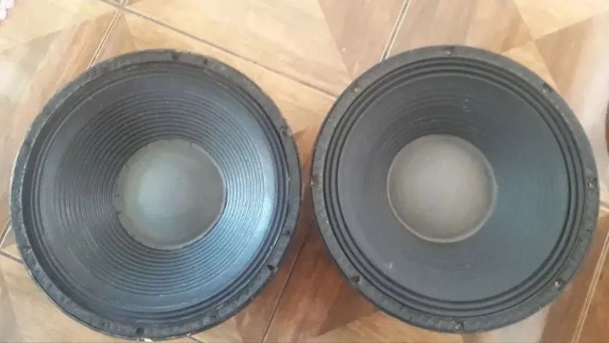 Vendo par de Auto falantes 15 Polegadas Wpu Selenium 450 wats cada em 8 Ohms.