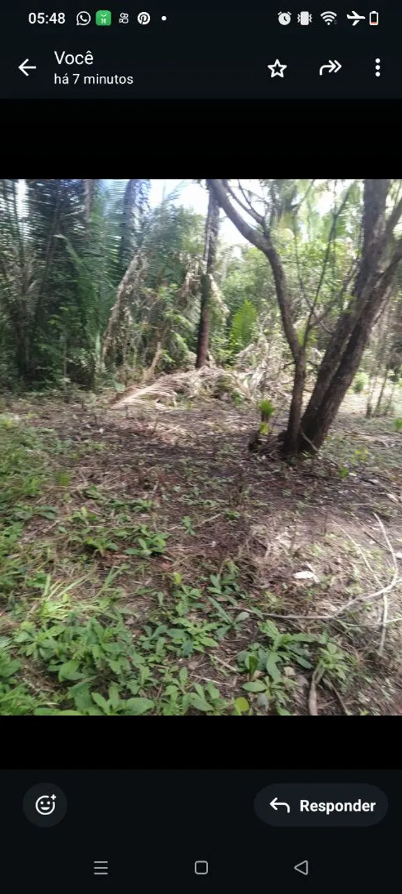 Vendo terreno ideal pra chácara ou sítio