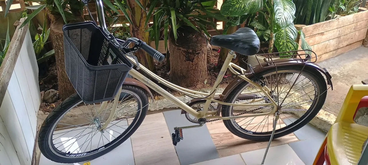 Vendo bicicleta feminina nova