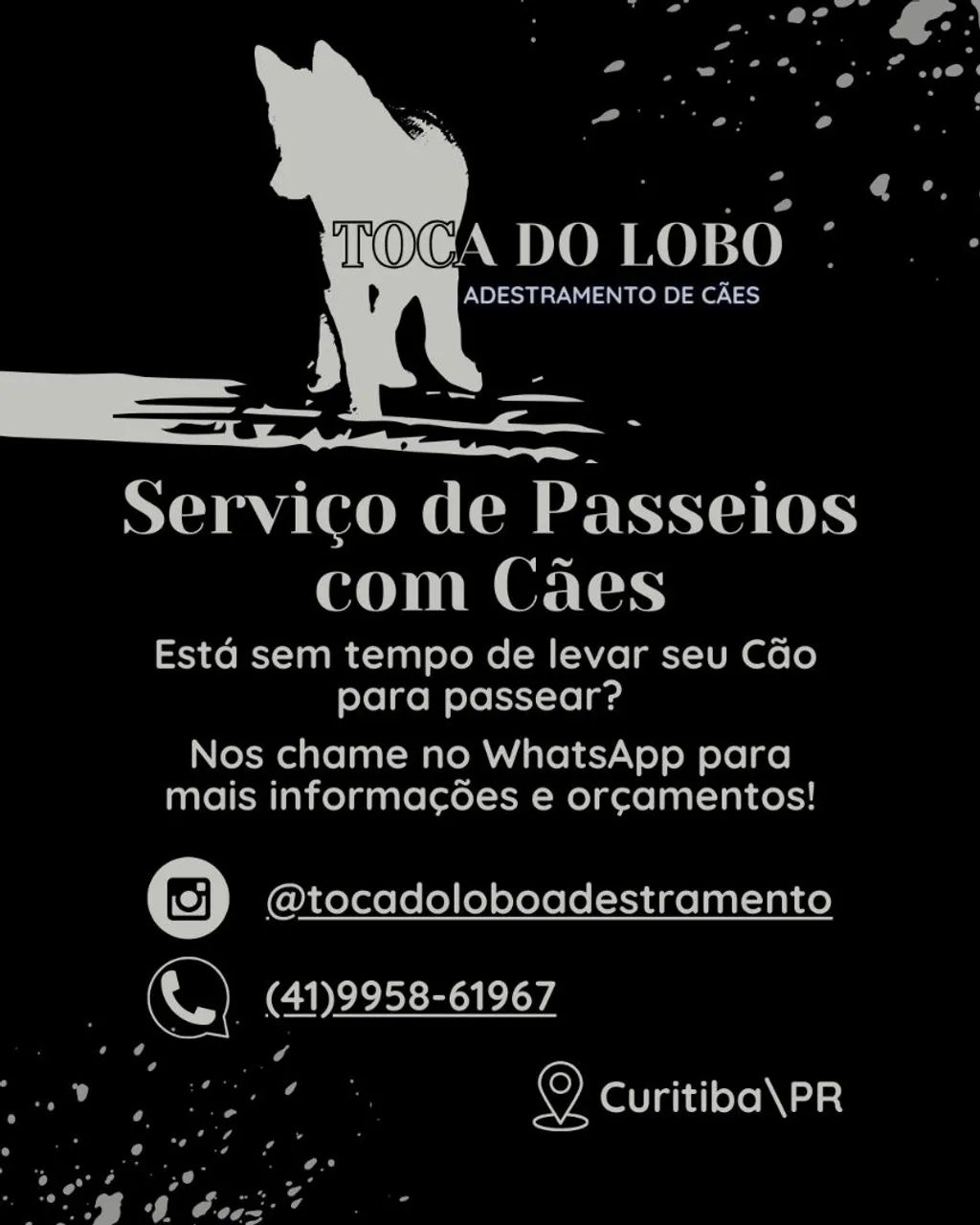 Passeios com Cães / Dog Walker