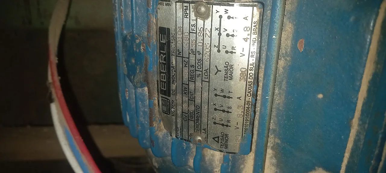 Tupia64840852525570121