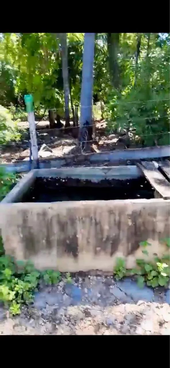 Excepcional Sítio com renda - Foto 3