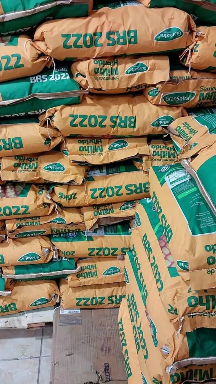 Semente de Milho BRS2022 para silagem 20kg Gransafra(Novo) - Foto 2