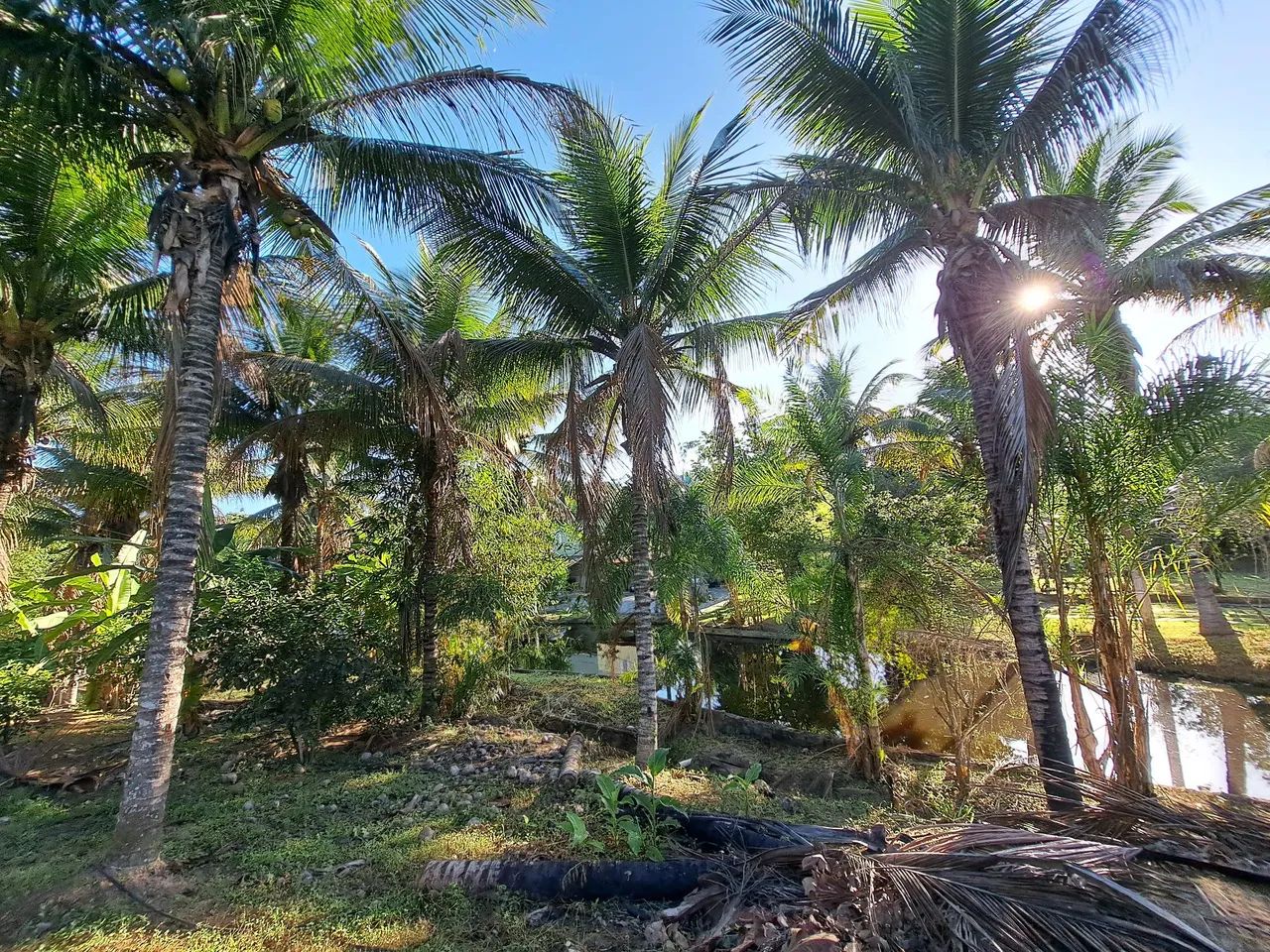 VENDO CHÁCARA COM PICINA, LAGOS UM PARAÍSO  - Foto 5