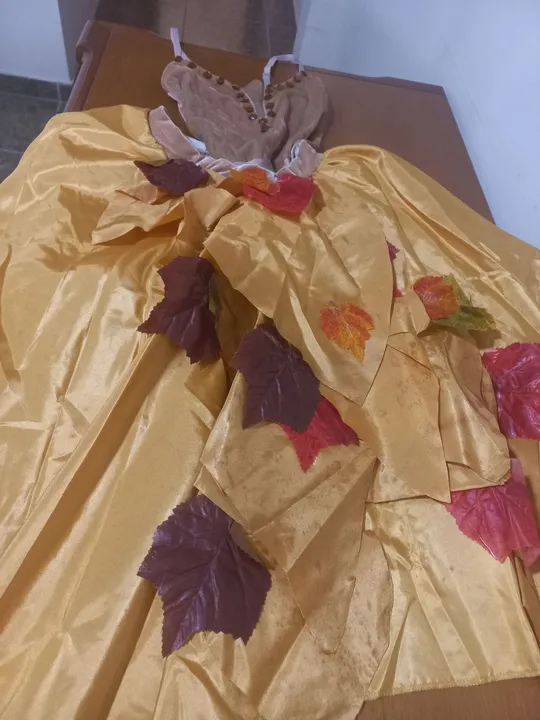 Vestido de outono para menina