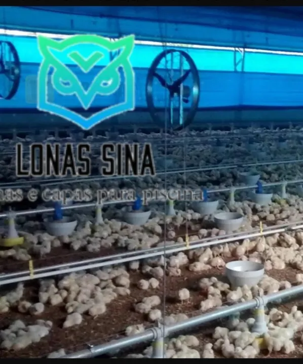 Lona para Aviário | Galinheiro