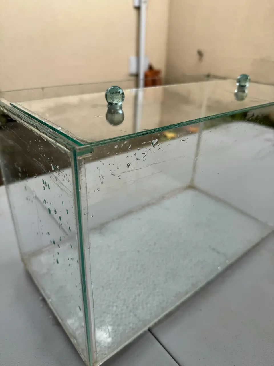 Aquário em vidro - Foto 5