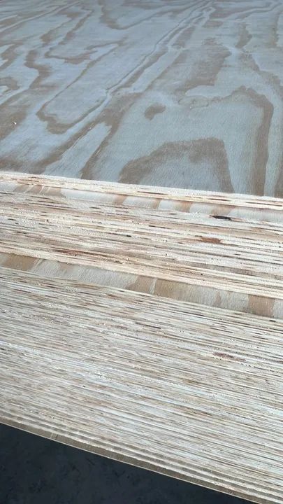 Compensado Pinus - Foto 5