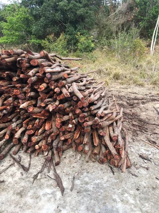 Estacas e mourões - Foto 2