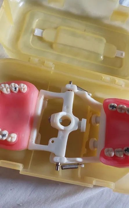 MANEQUIM DENTÍSTICA PRONEW.  - Foto 5