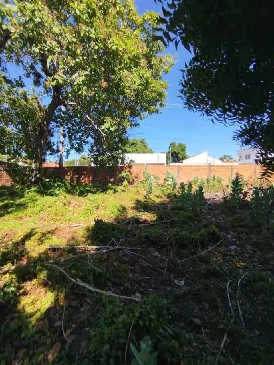 Terreno à Venda no Centro de Timon - Foto 2