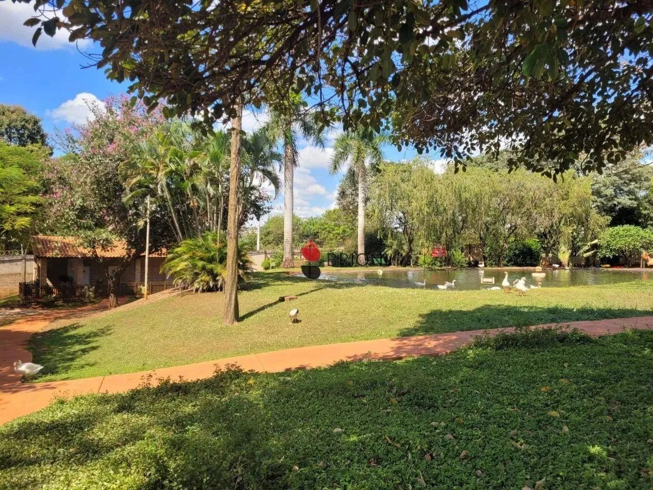 Terreno à venda com 984m², no Condomínio Royal Park - Ribeirão Preto/SP - Foto 4