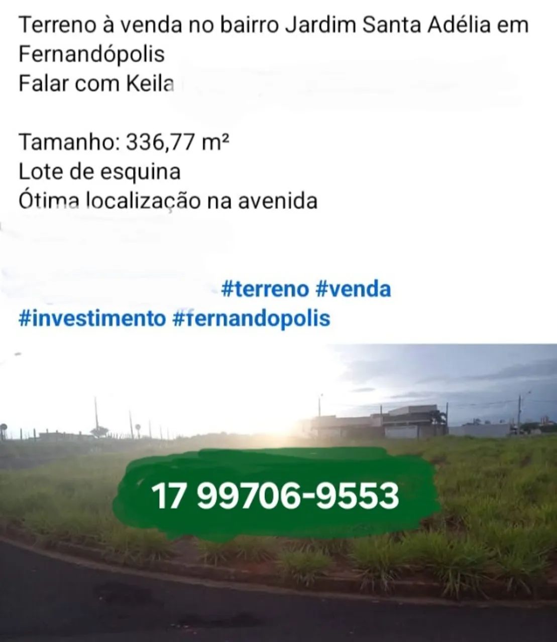 Foto - Fernandópolis - Coester