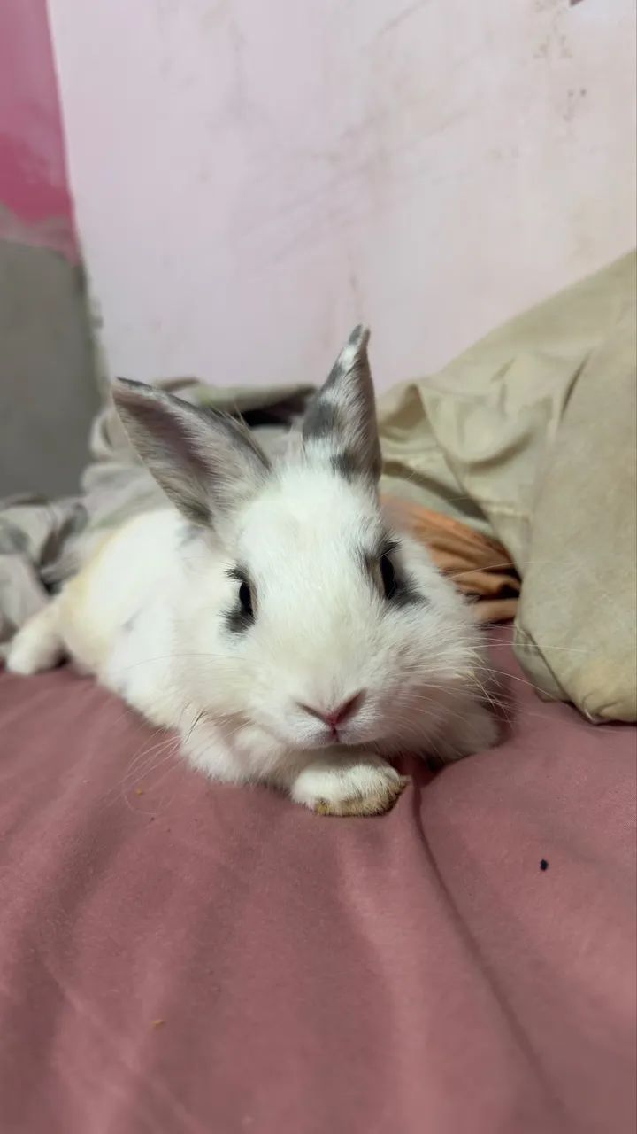 Procuro uma namorada  - Foto 5