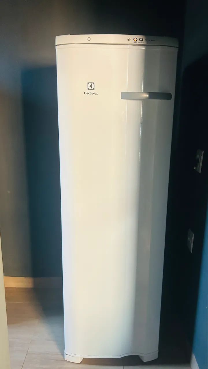 Freezer Eletrolux 206 litros - Foto 2