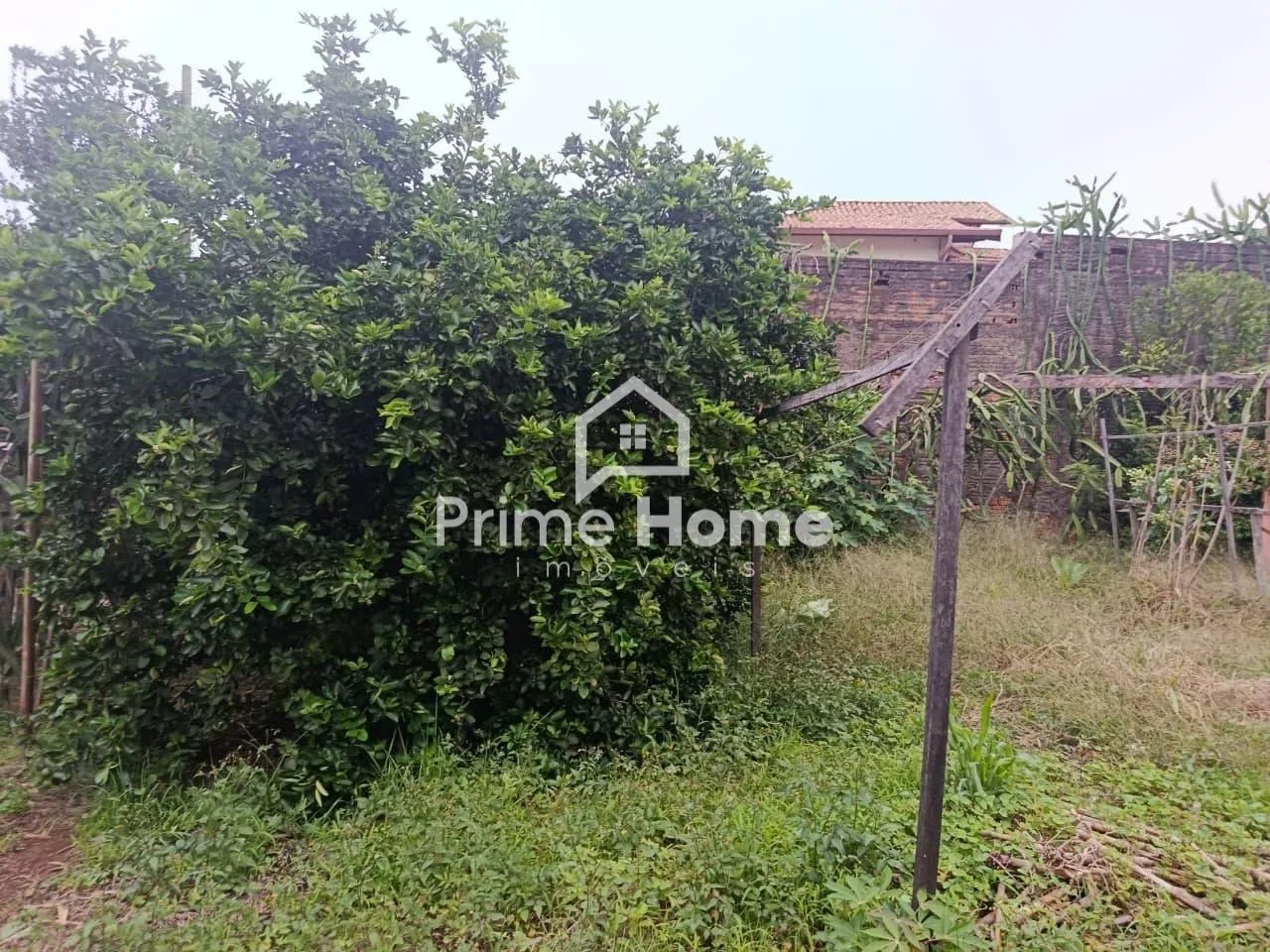 terreno - Jardim dos Oliveiras - Campinas - Foto 4