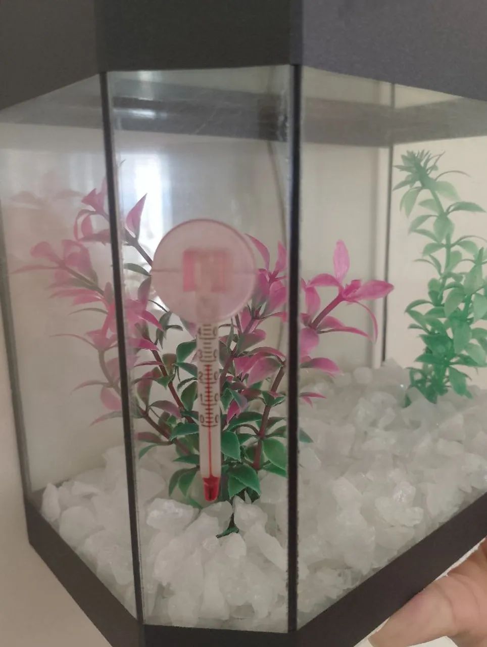 Aquário pequeno completo  - Foto 5