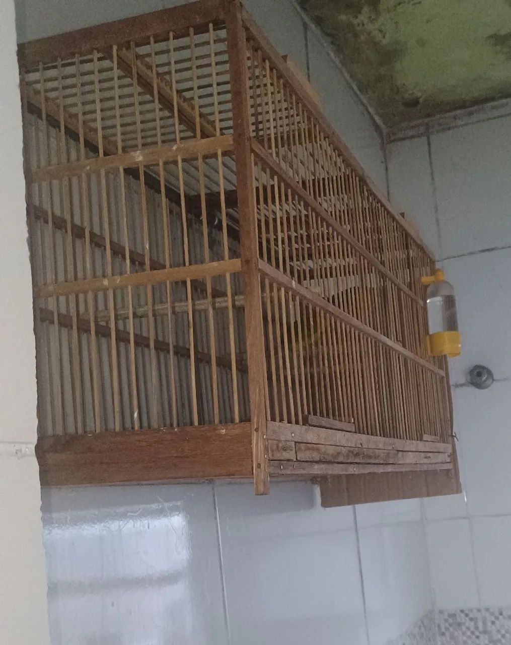 Vendo gaiola ...
