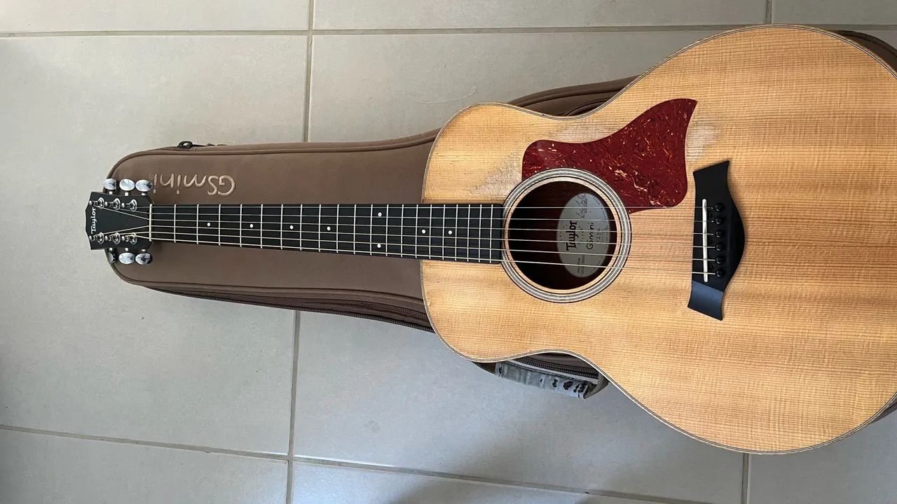 Taylor gs mini