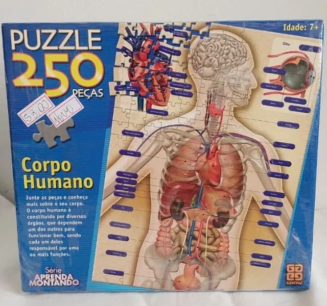 Quebra Cabe ça Corpo Humano - Foto 2