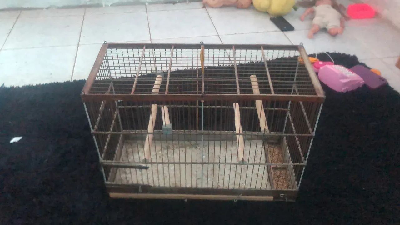Voador 