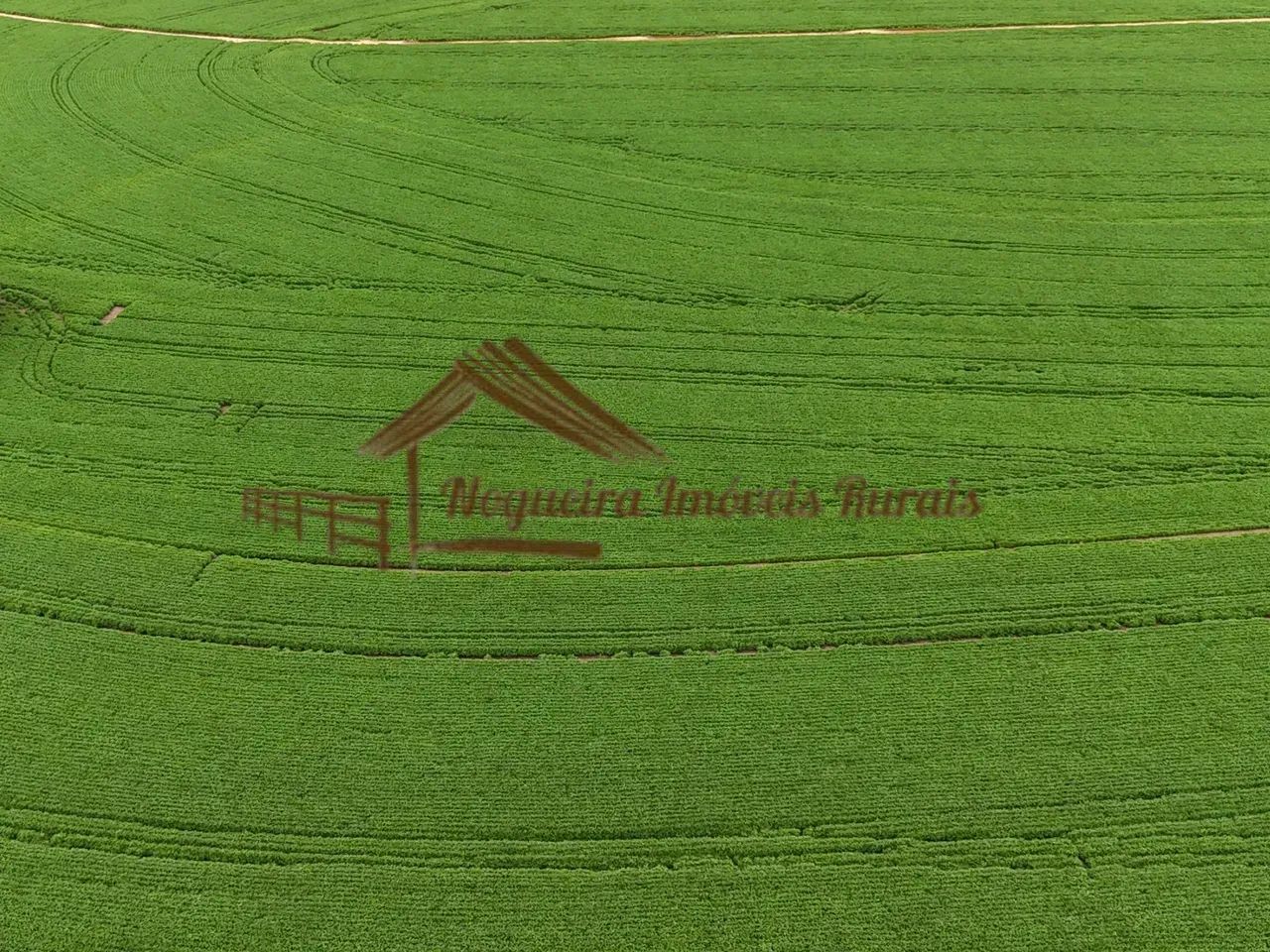 Fazenda com 100 alqueires em Avaré-SP - Foto 5