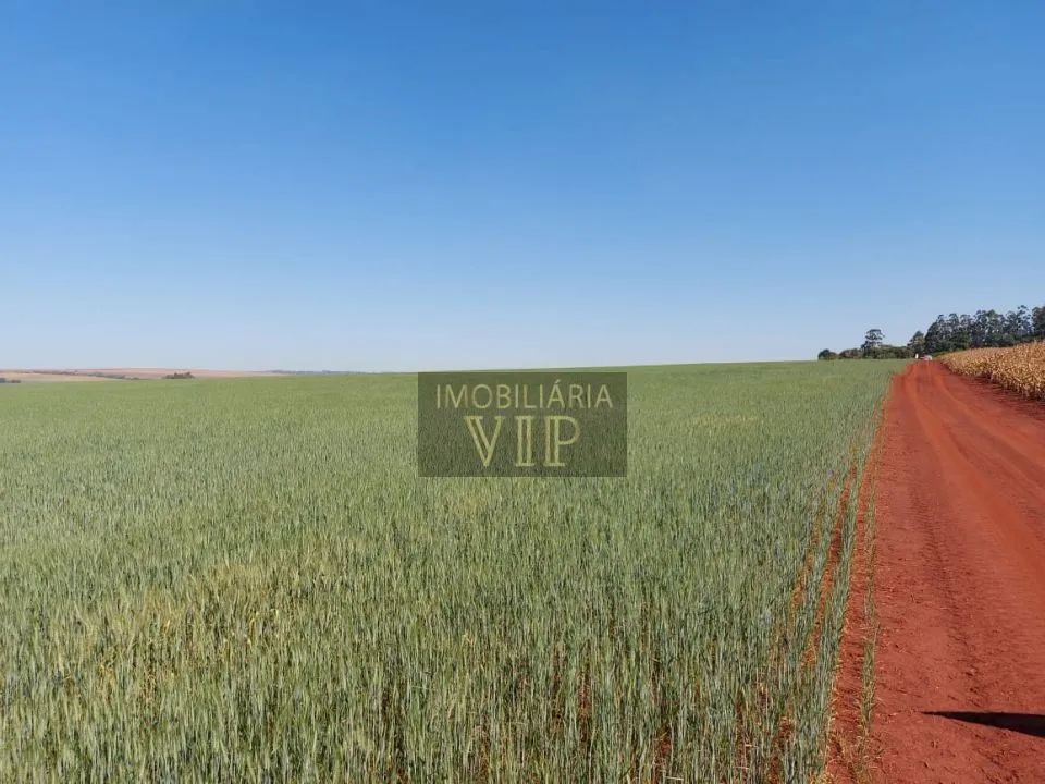 Zona Rural - Munhoz de Mello - Foto 5