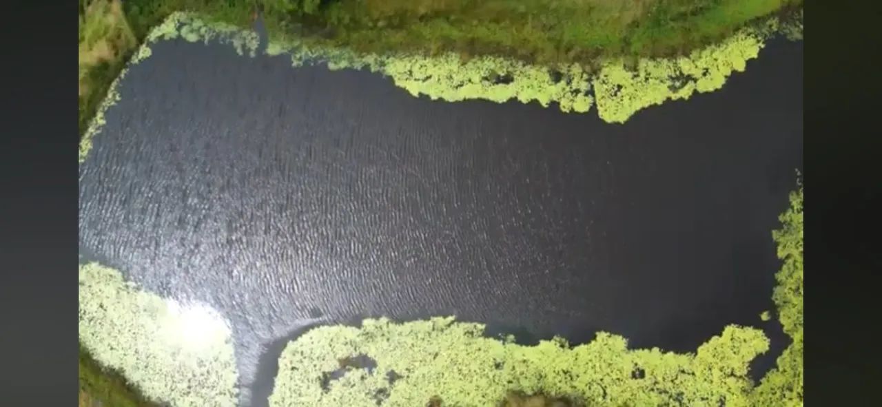 Fazenda 48 hectares 4 açudes região de mari - Foto 3