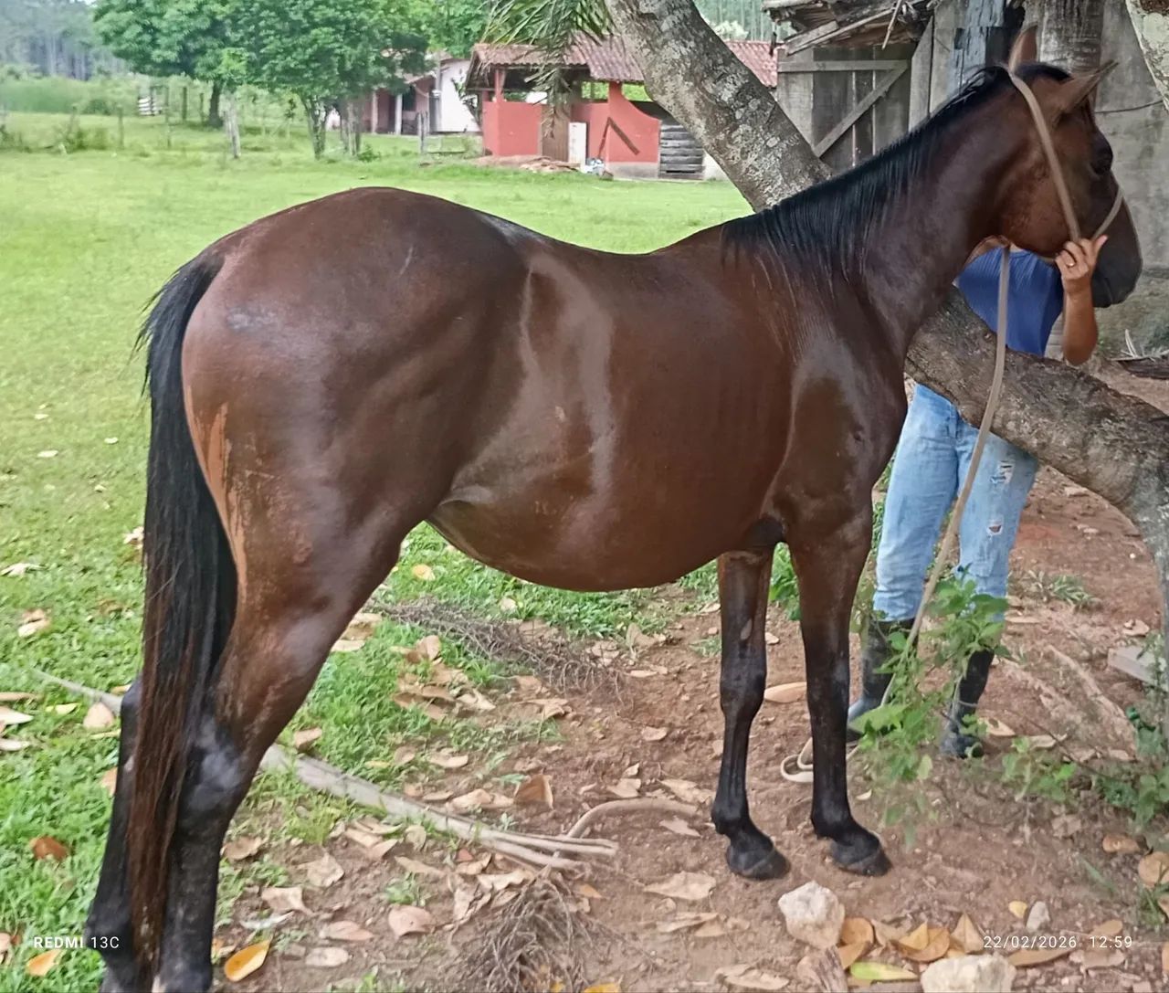 Vendo ou negocio - Foto 2