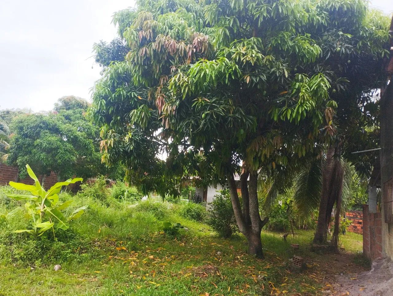 Foto - Itaparica - 