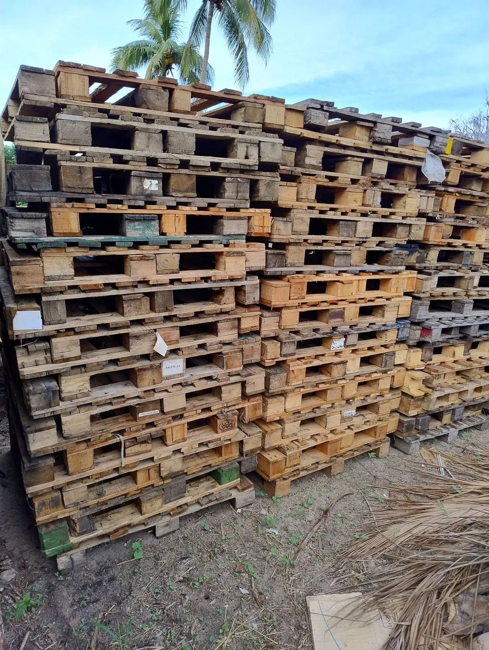 Pallets PBR Brasil disponíveis a venda chama no WhatsApp * - Foto 2