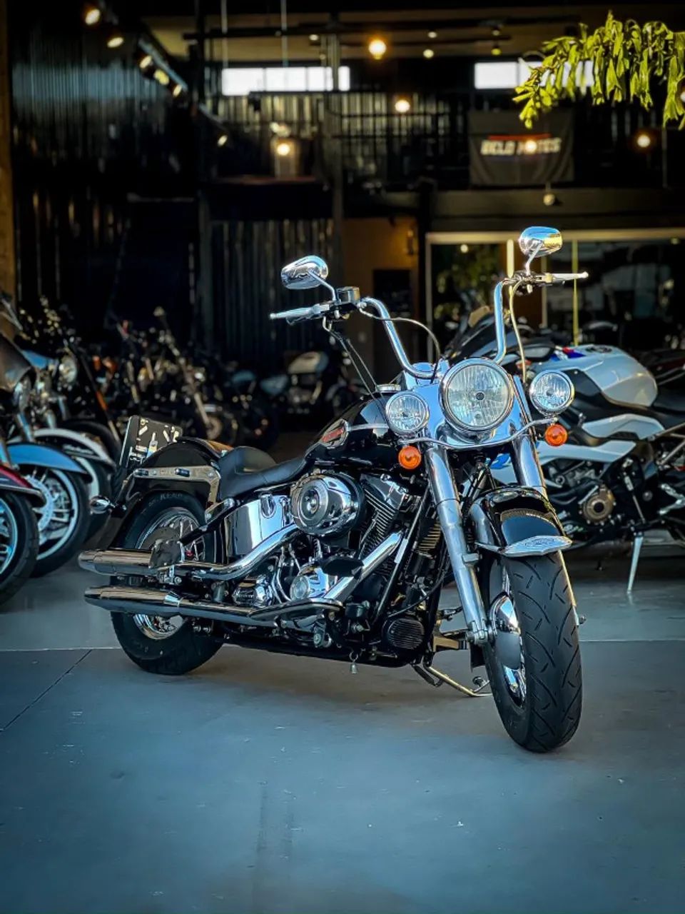 HARLEY-DAVIDSON SOFTAIL DELUXE