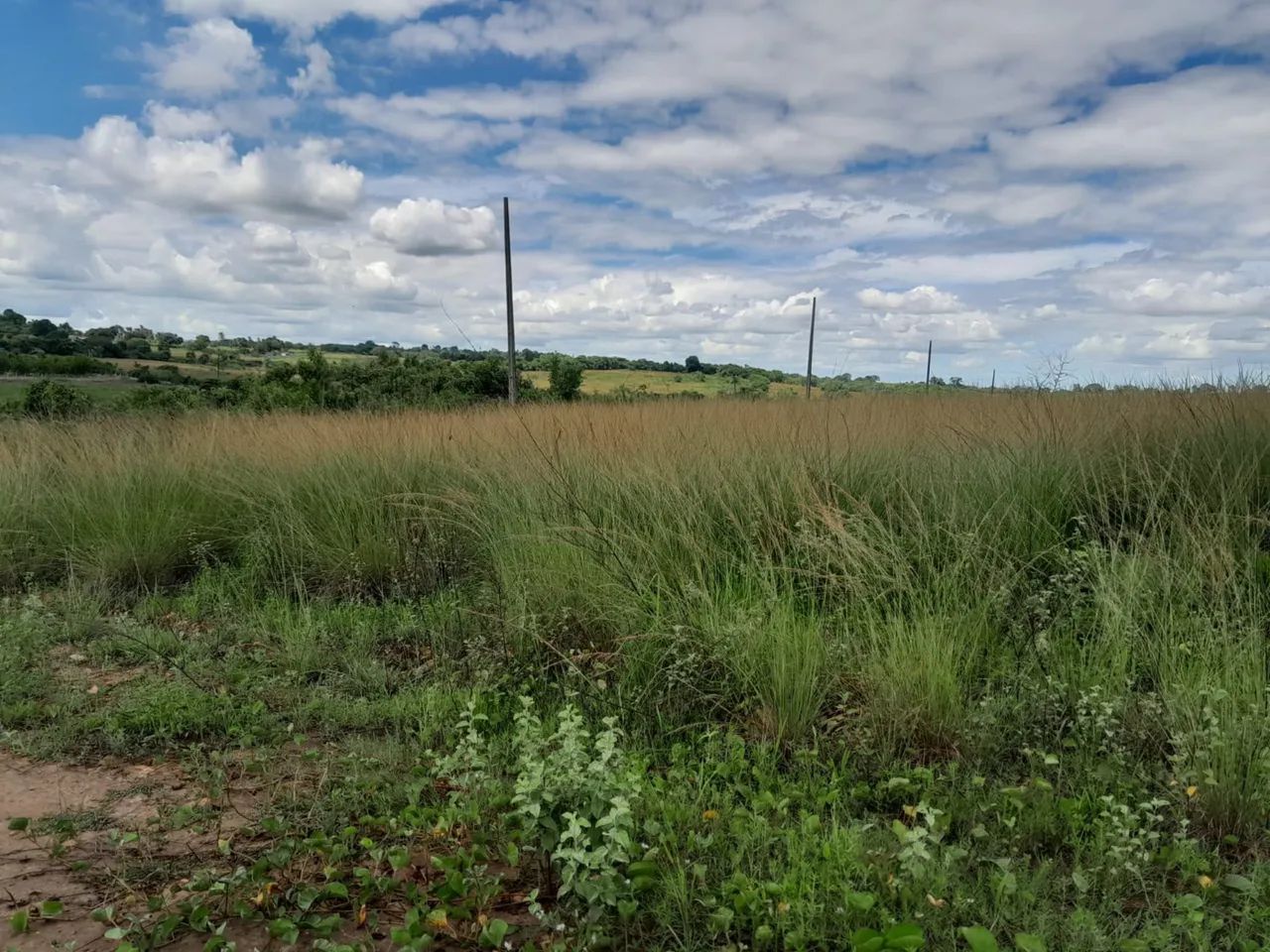 Venda - Foto 3
