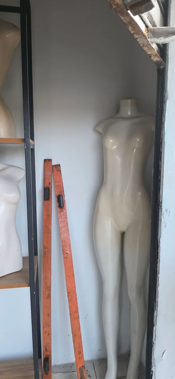 Loja balcão manequins bustos pratileira estantes
